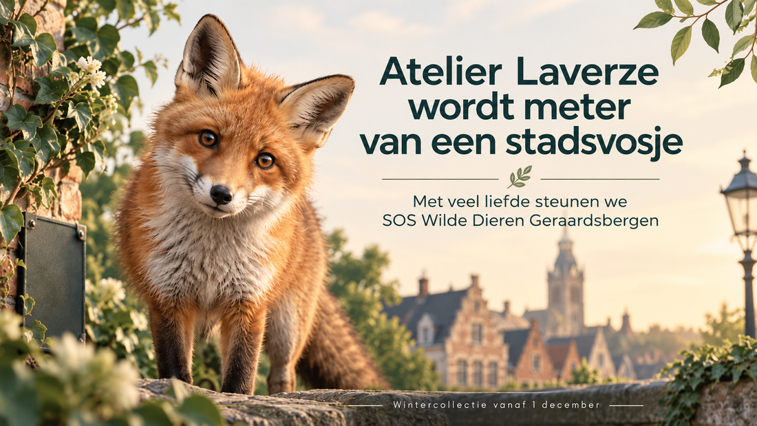 Atelier Laverze wordt meter van een vosje 🦊