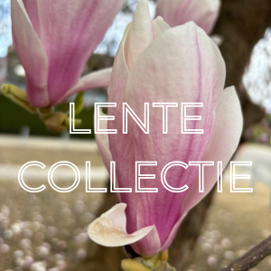 Lente