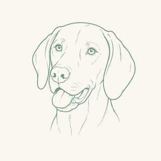 Vizsla collectie met originele hondenprints op kleding en accessoires van Atelier Laverze