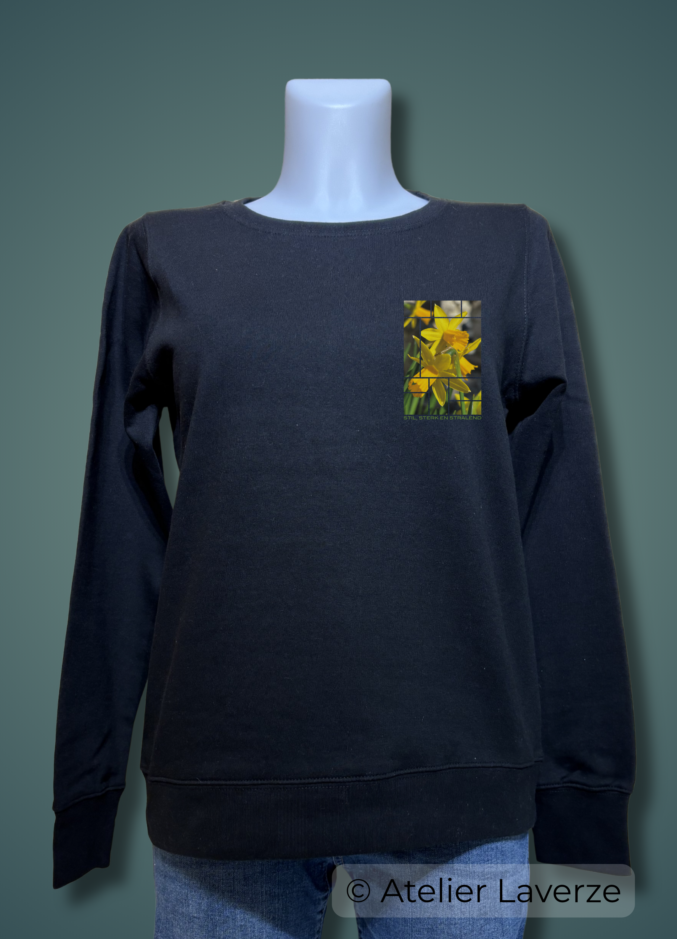 STIL, STERK EN STRALEND (dames sweater)