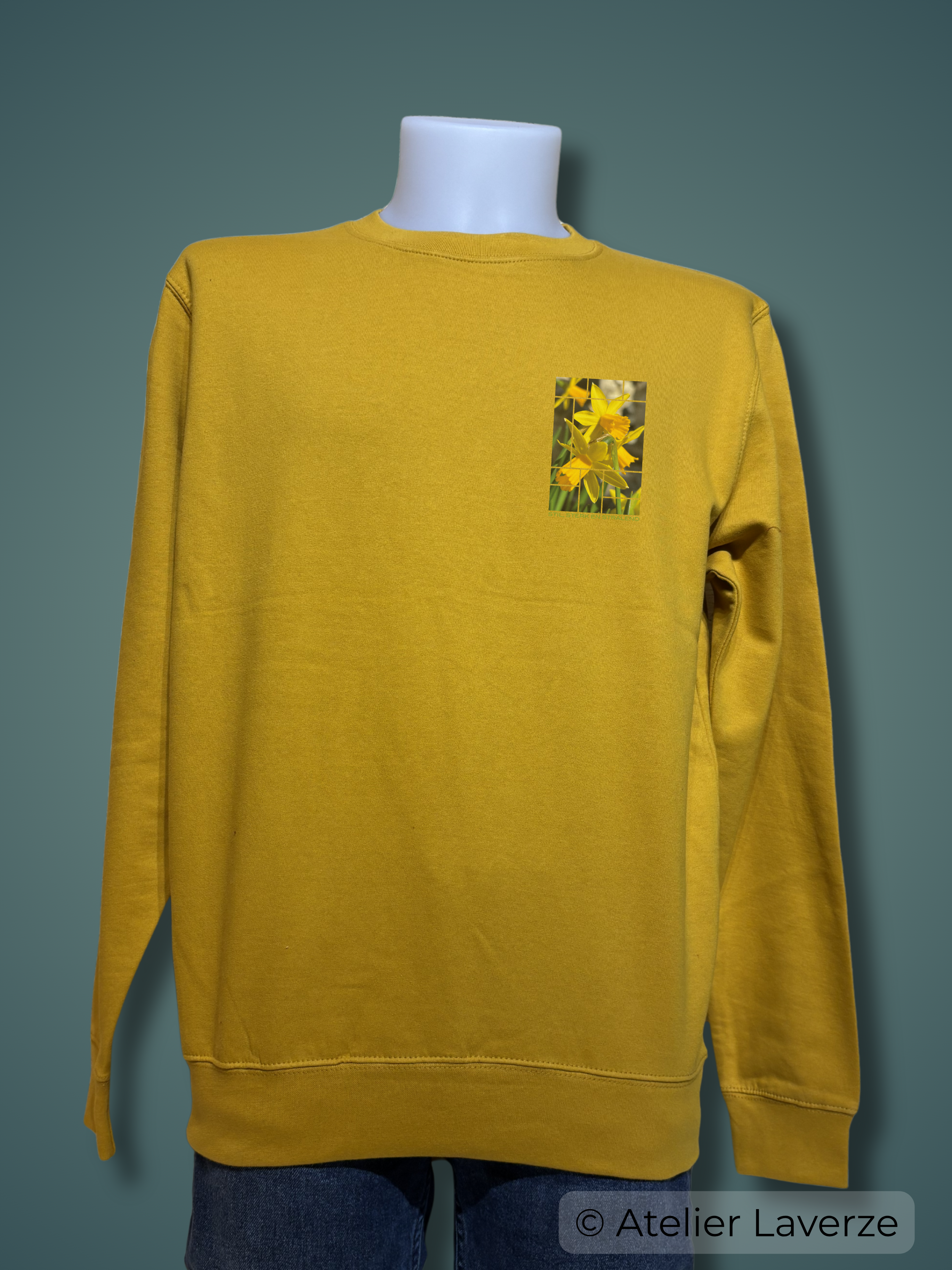 STIL, STERK EN STRALEND (heren sweater)