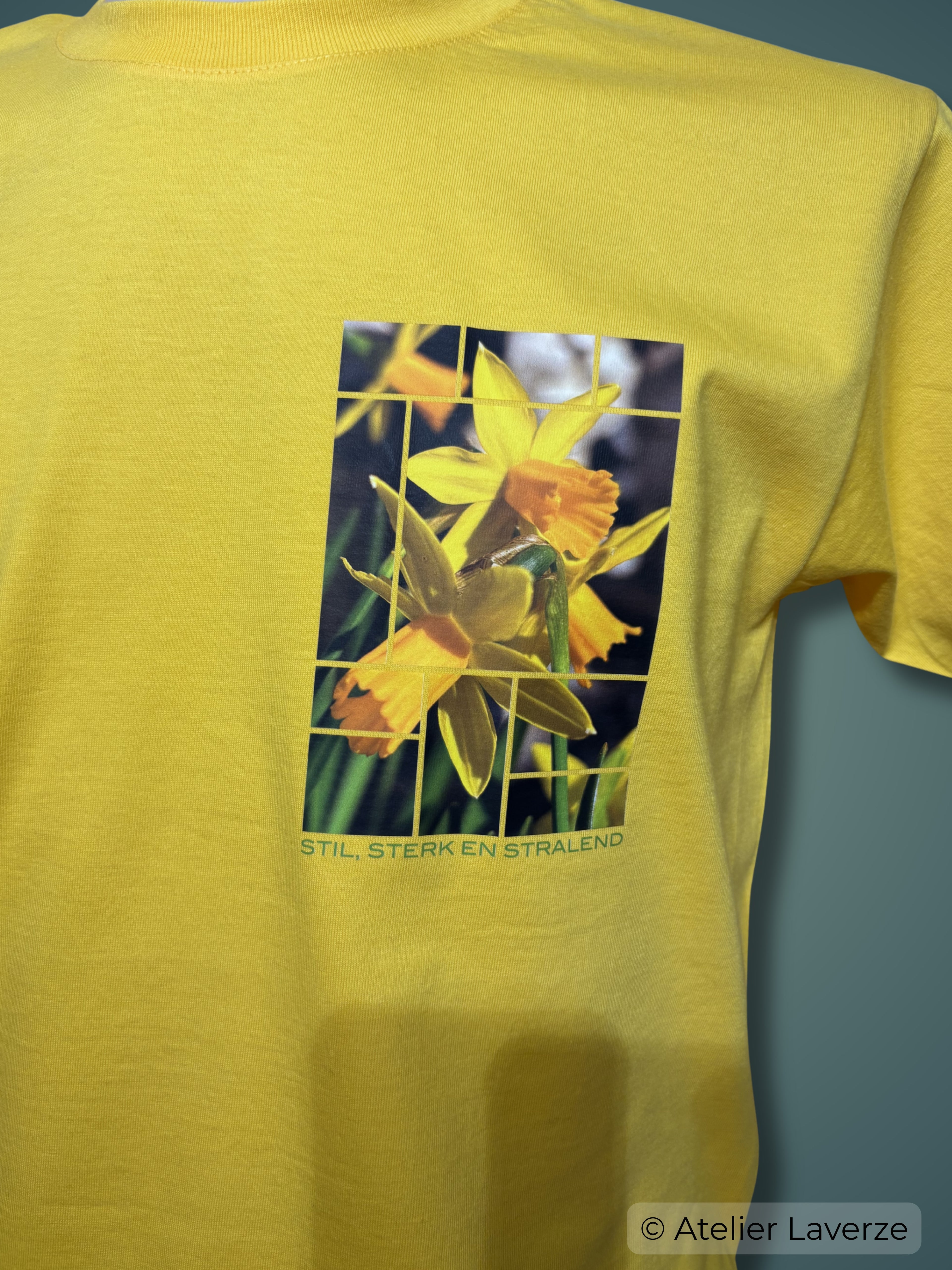 STIL, STERK EN STRALEND (heren sweater)