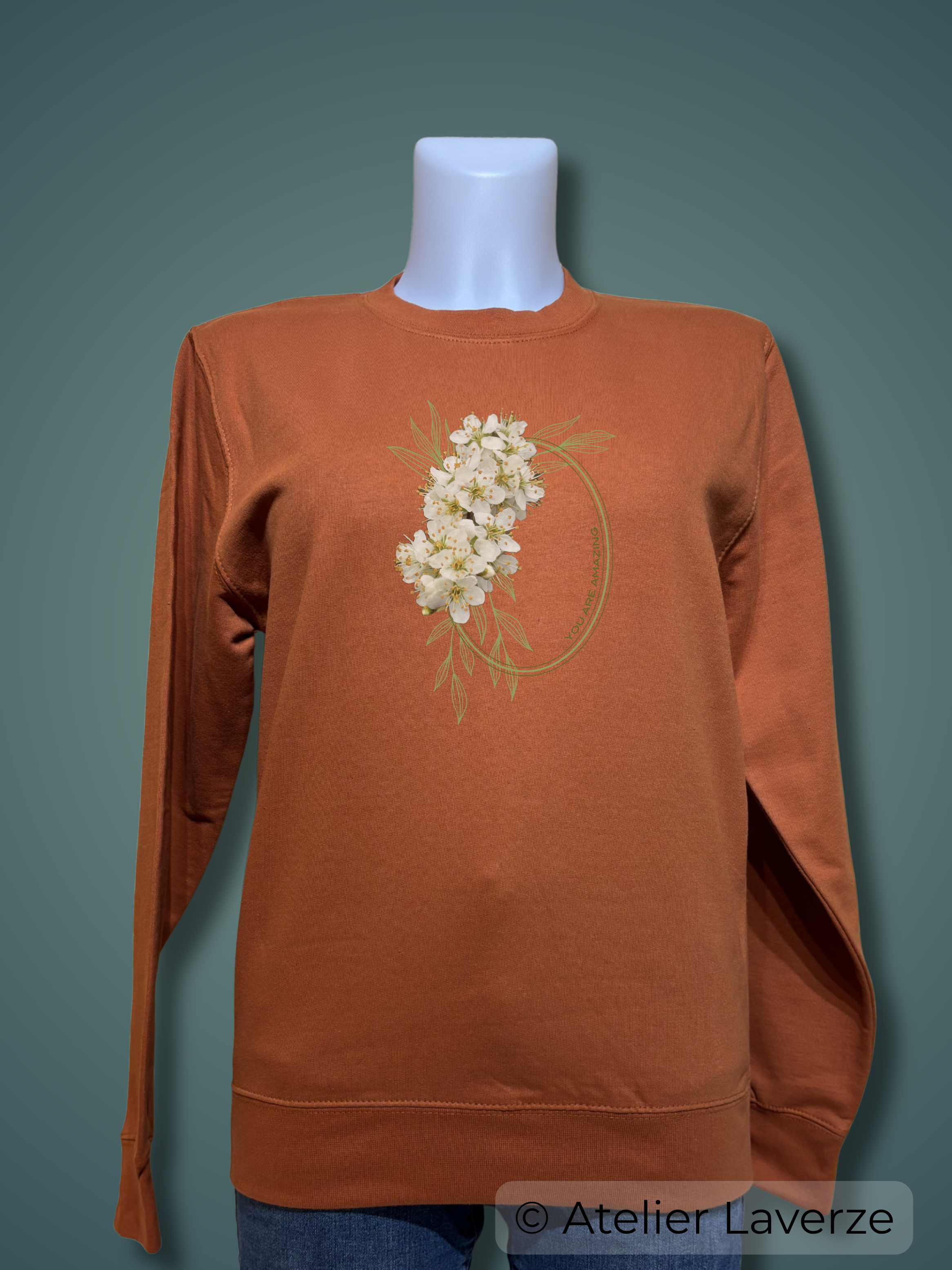 YOU ARE AMAZING (dames sweater)