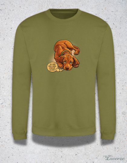 ZWAAR LEVEN (sweater)