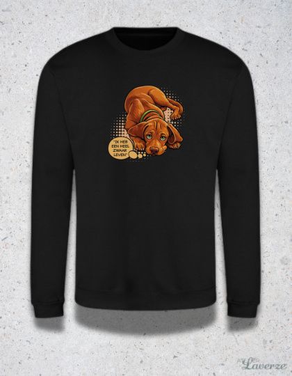 ZWAAR LEVEN (sweater)