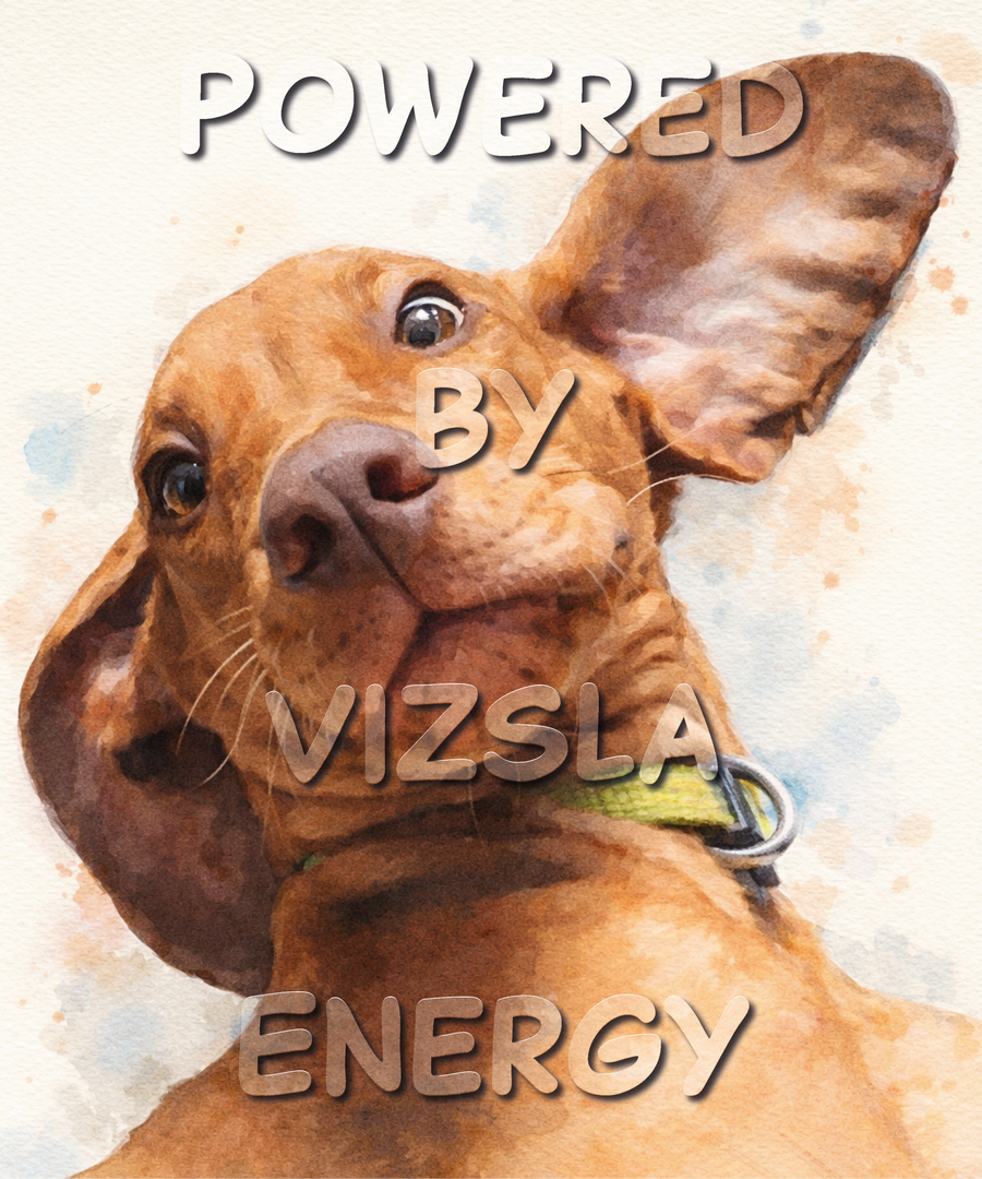 Powered by Vizsla Energy