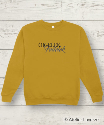Sweater damesmodel / Oigelek Foitelek