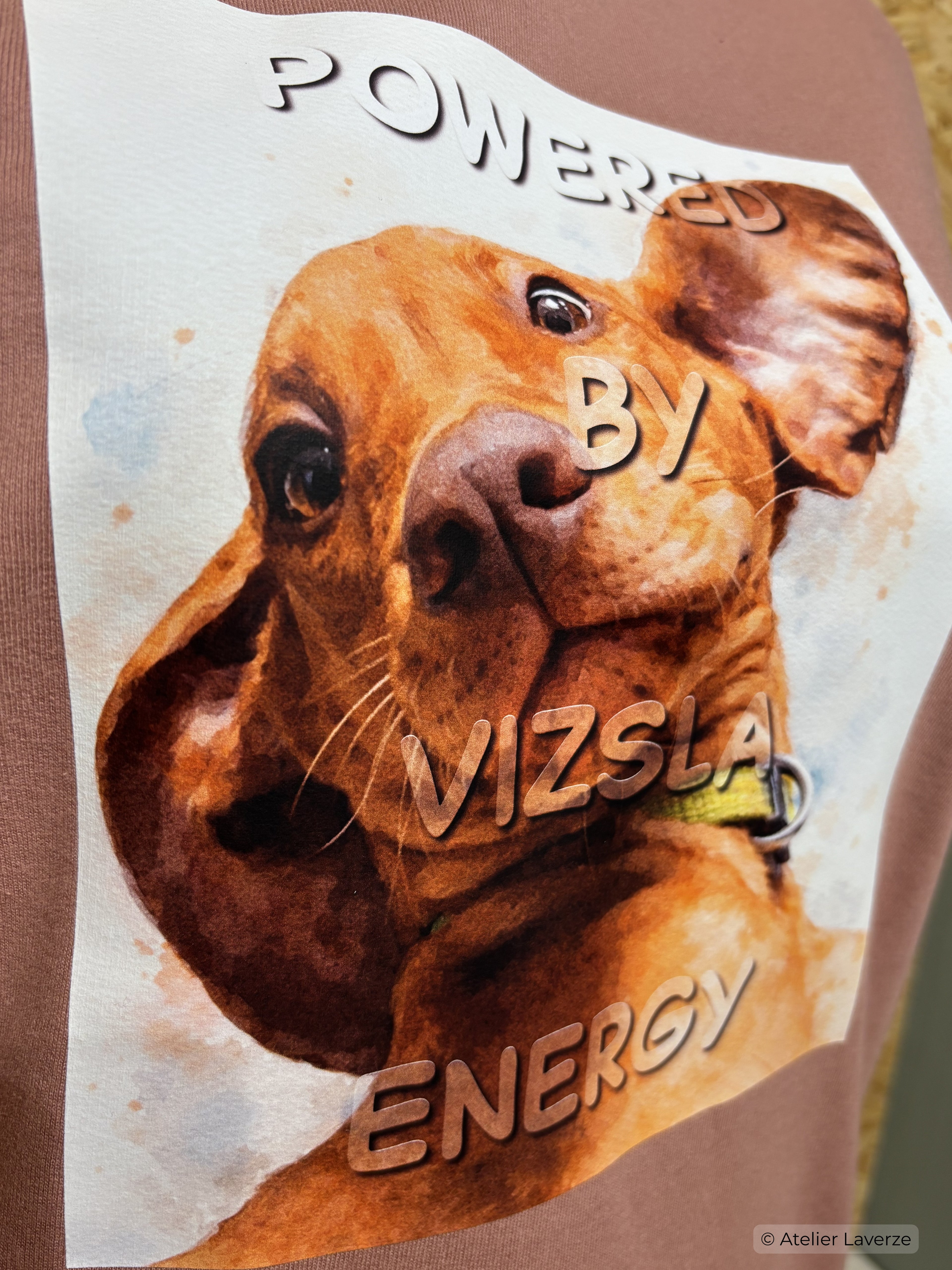 Heren sweater met bedrukking: Powered by Vizsla energy