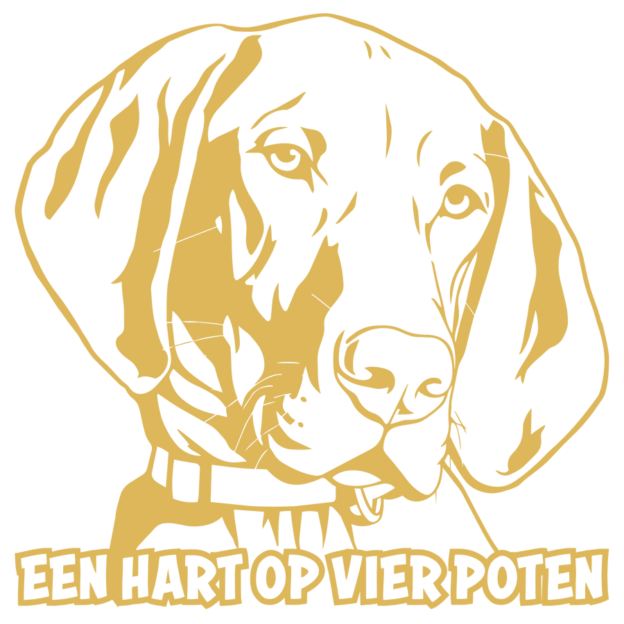 Een Hart op Vier Poten